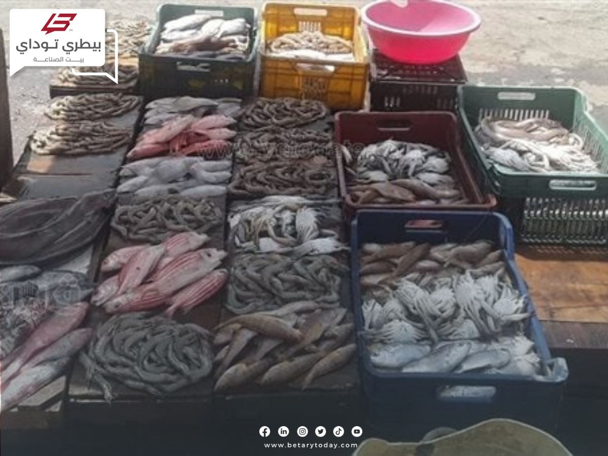 الأسعار الاسترشادية للأسماك والمأكولات البحرية اليوم الخميس في الأسواق