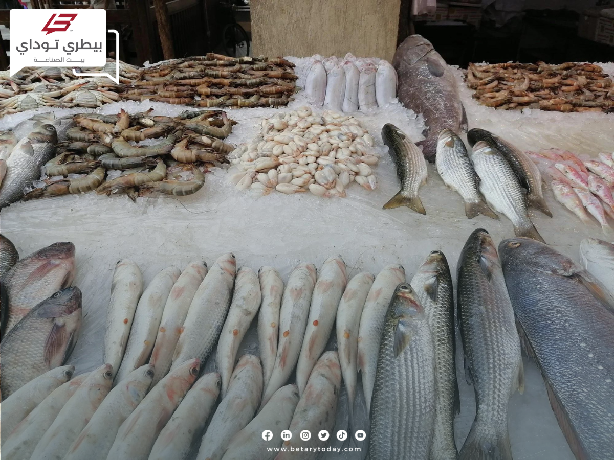 تراجع جديد... أسعار الأسماك والمأكولات البحرية اليوم الاثنين 1 يوليو في سوق العبور
