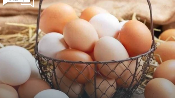 أسعار البيض رهن قاعدة العرض والطلب