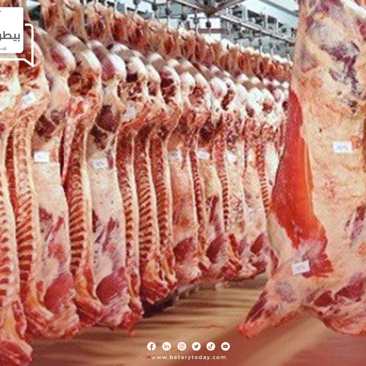 "ركود تام"... أسعار اللحوم الحمراء البلدي والمستوردة اليوم الثلاثاء في الأسواق