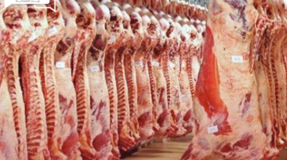 "ركود تام"... أسعار اللحوم الحمراء البلدي والمستوردة اليوم الثلاثاء في الأسواق