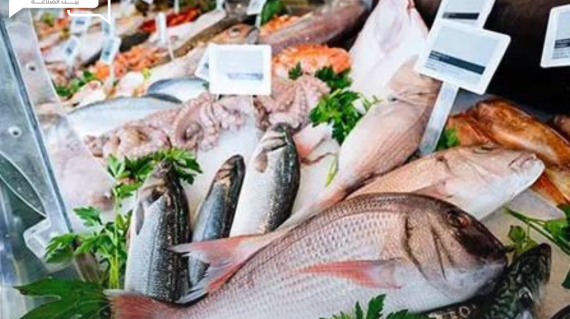 السمك وصل لكام... أسعار الأسماك والمأكولات البحرية اليوم الأربعاء