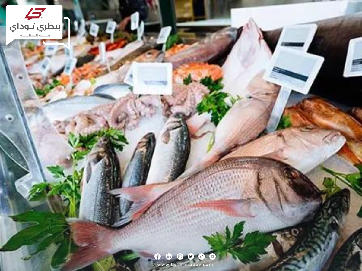 السمك وصل لكام... أسعار الأسماك والمأكولات البحرية اليوم الأربعاء