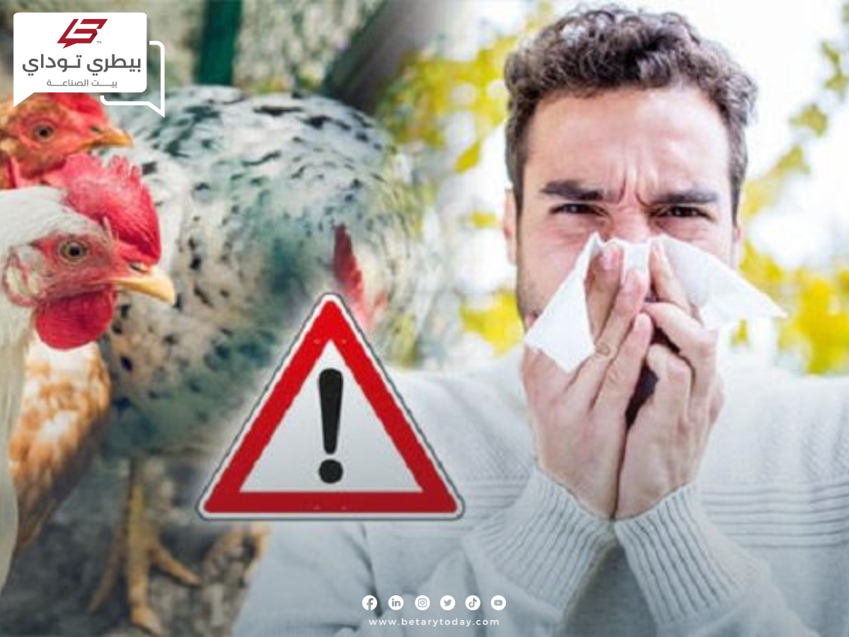 منظمة الصحة العالمية تحذر من جائحة جديدة لانفلونزا الطيور تضرب البلاد