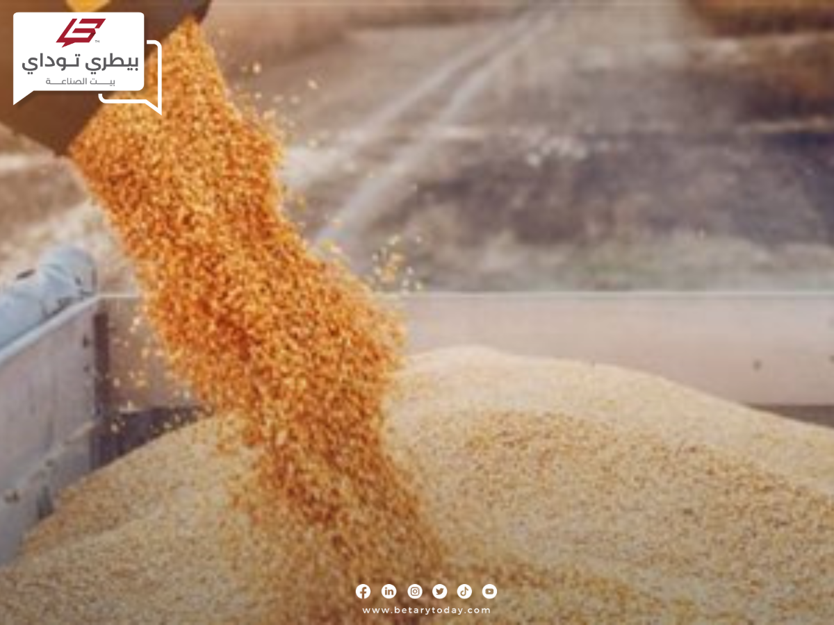 صادرات الحبوب الأوكرانية سجلت نحو 50.5 مليون طن في نهاية 2024