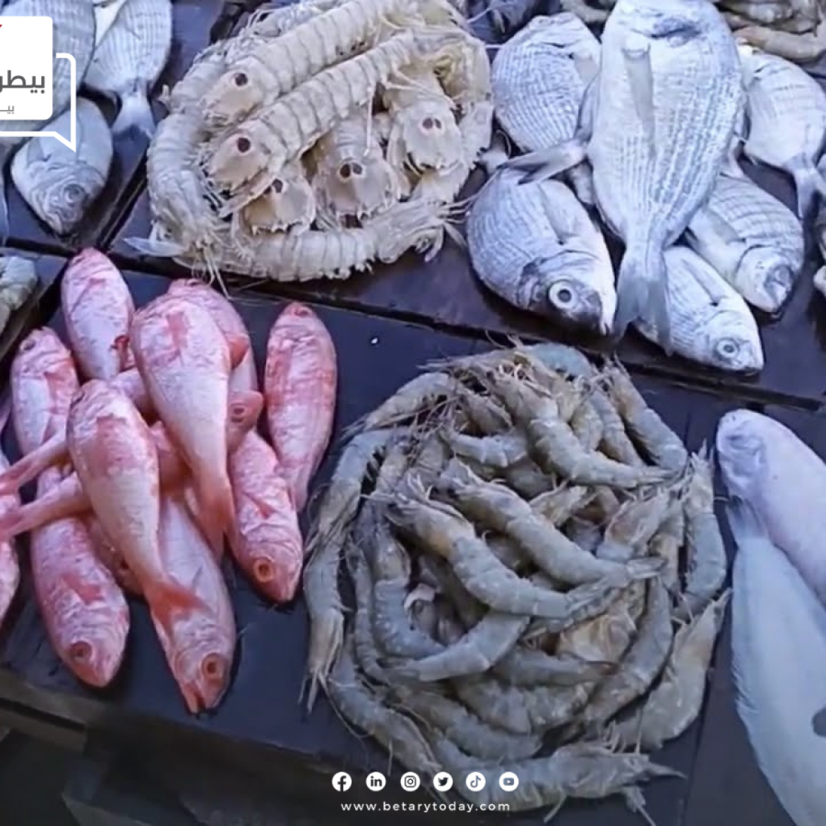 تعرف على أسعار الأسماك والمأكولات البحرية اليوم الأحد في الأسواق بعد تراجع الفراخ