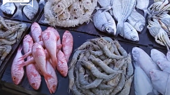 هدوء ما قبل العاصفة... أسعار الأسماك والمأكولات البحرية اليوم السبت في الأسواق