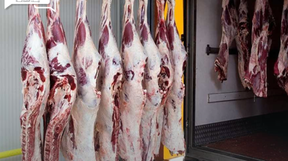 استقرار أسعار اللحوم الحمراء البلدي والمستوردة اليوم الخميس في الأسواق