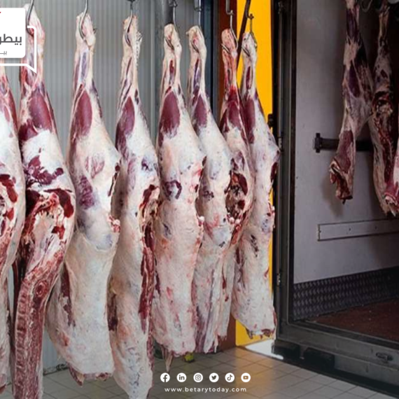 استقرار أسعار اللحوم الحمراء البلدي والمستوردة اليوم الخميس في الأسواق