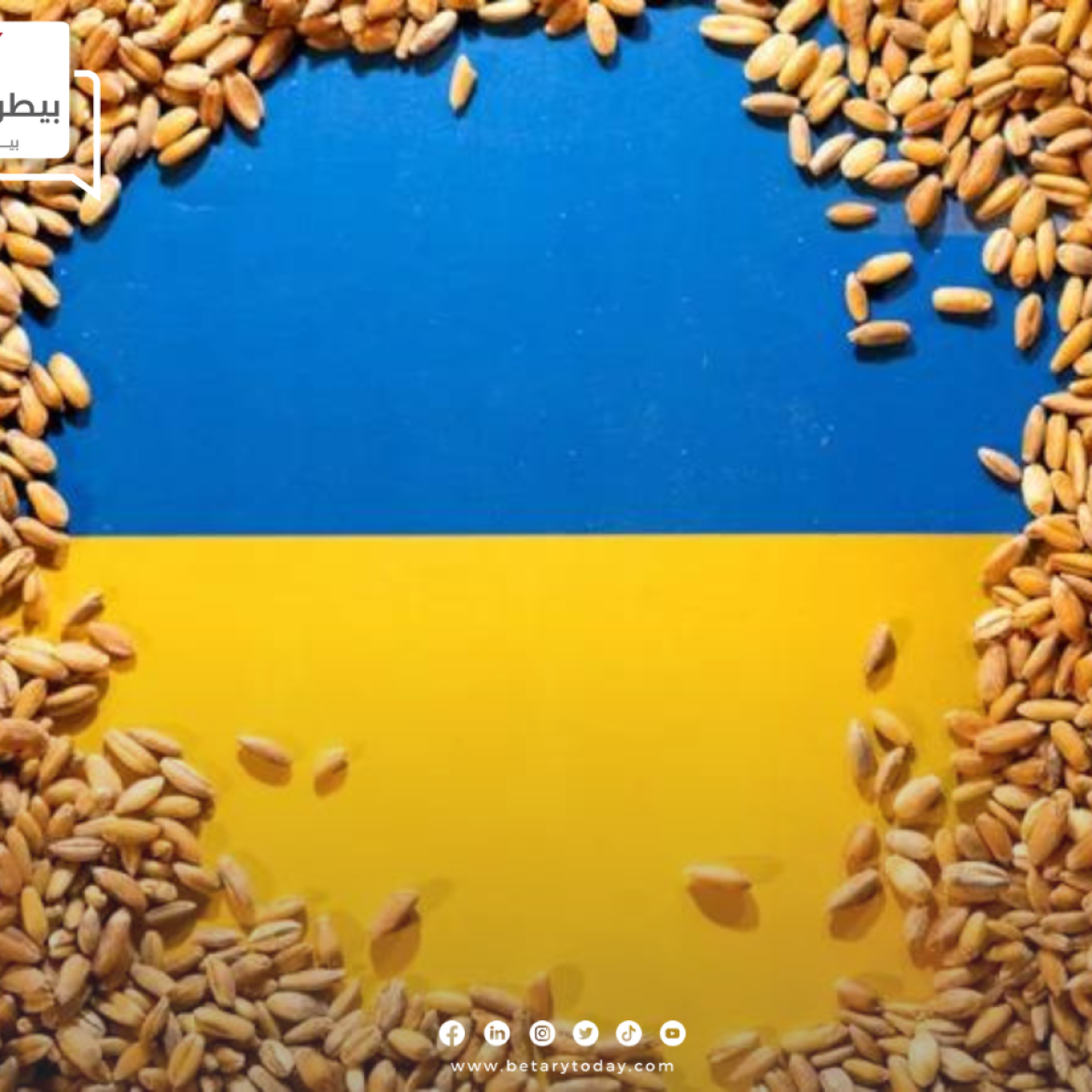 مع بداية الموسم الجديد… حصاد 3.4 مليون طن من الحبوب الأوكرانية