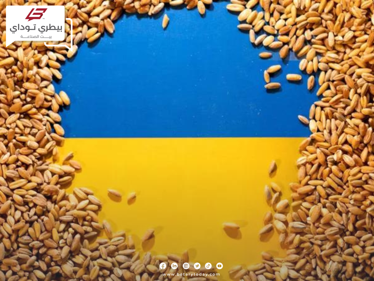 مع بداية الموسم الجديد… حصاد 3.4 مليون طن من الحبوب الأوكرانية