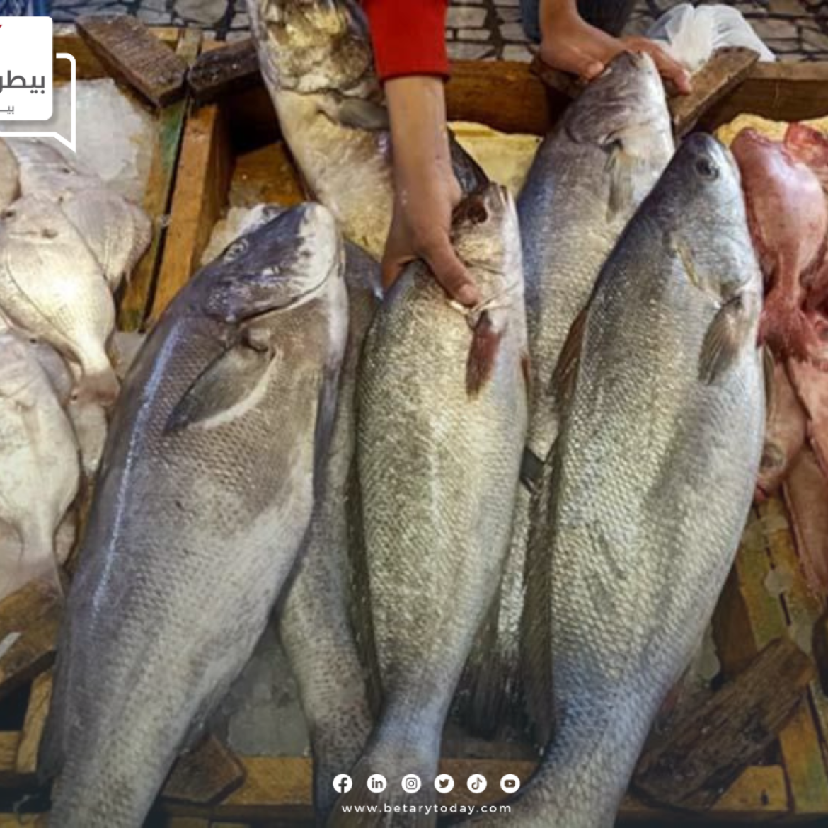 استقرار أسعار الأسماك والمأكولات البحرية اليوم الأربعاء 17 يوليو في الأسواق
