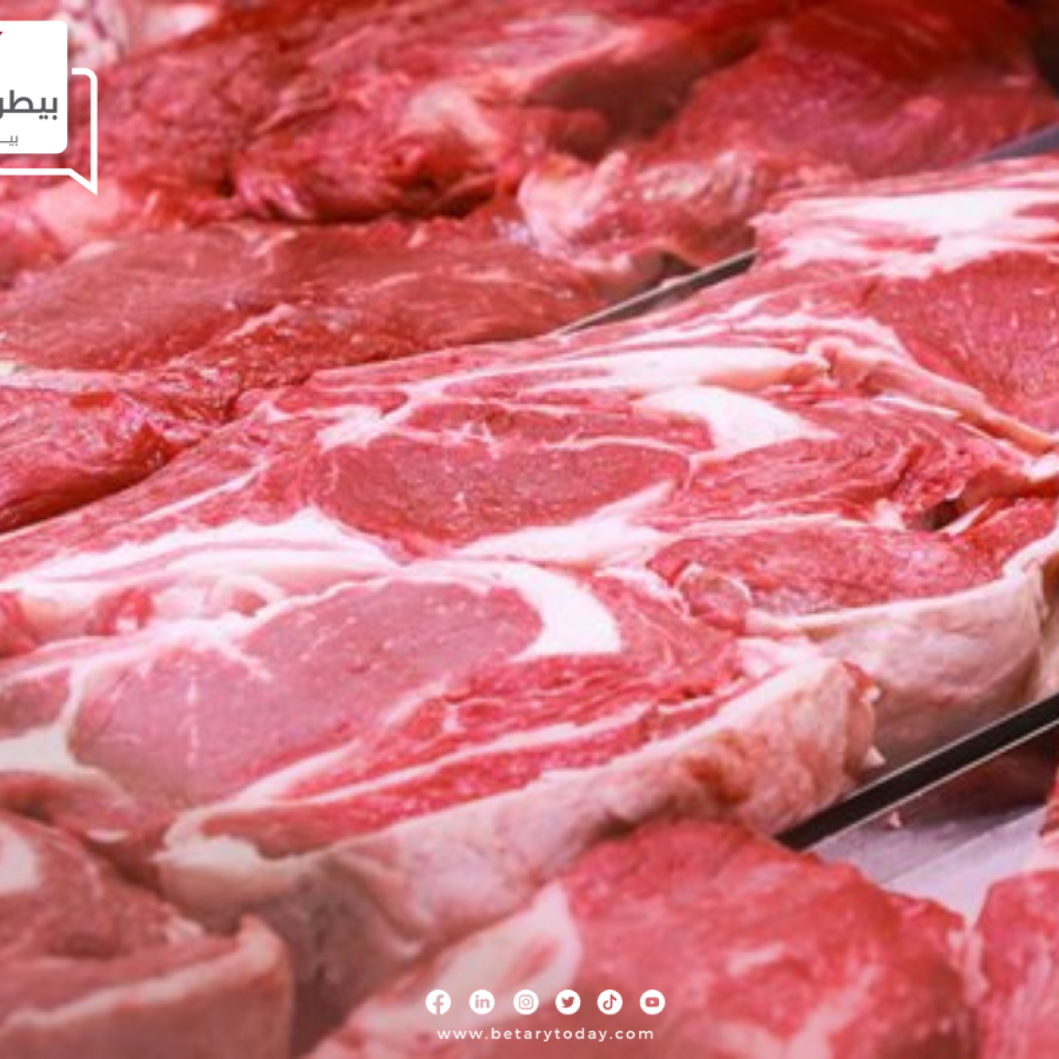 تحركات طفيفة في أسعار اللحوم الحمراء البلدي والمستوردة اليوم الثلاثاء في الأسواق