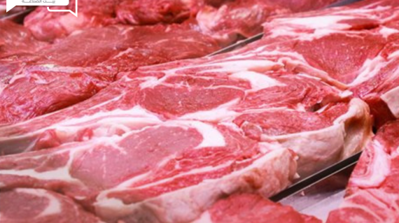 تحركات طفيفة في أسعار اللحوم الحمراء البلدي والمستوردة اليوم الثلاثاء في الأسواق