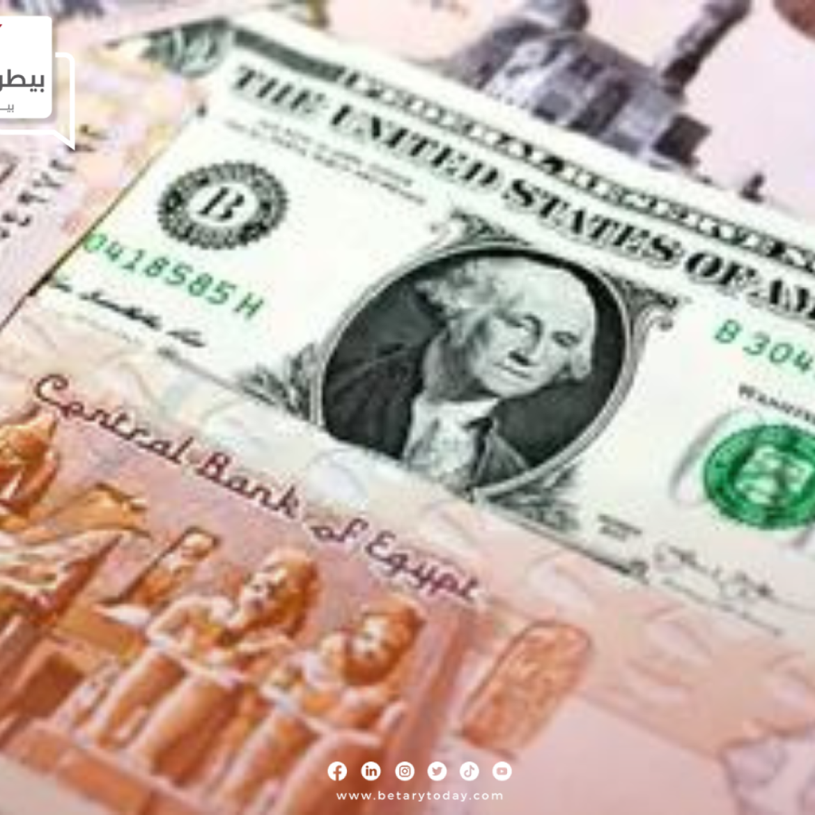 انهيار الدولار الأمريكي مقابل الجنيه المصري اليوم الإثنين في الأسواق