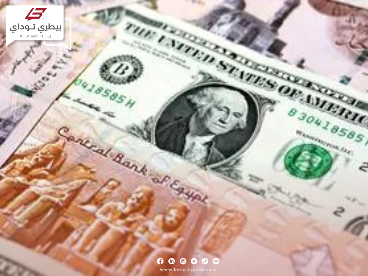 انهيار الدولار الأمريكي مقابل الجنيه المصري اليوم الإثنين في الأسواق