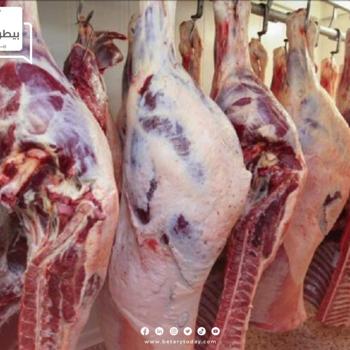 استقرار أسعار اللحوم الحمراء البلدي والمستوردة اليوم الخميس 11 يوليو في الأسواق