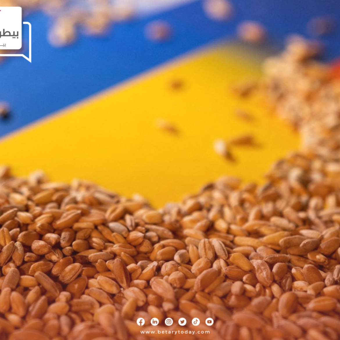 صادرات الحبوب الأوكرانية ترتفع لتسجل 1.5 مليون طن