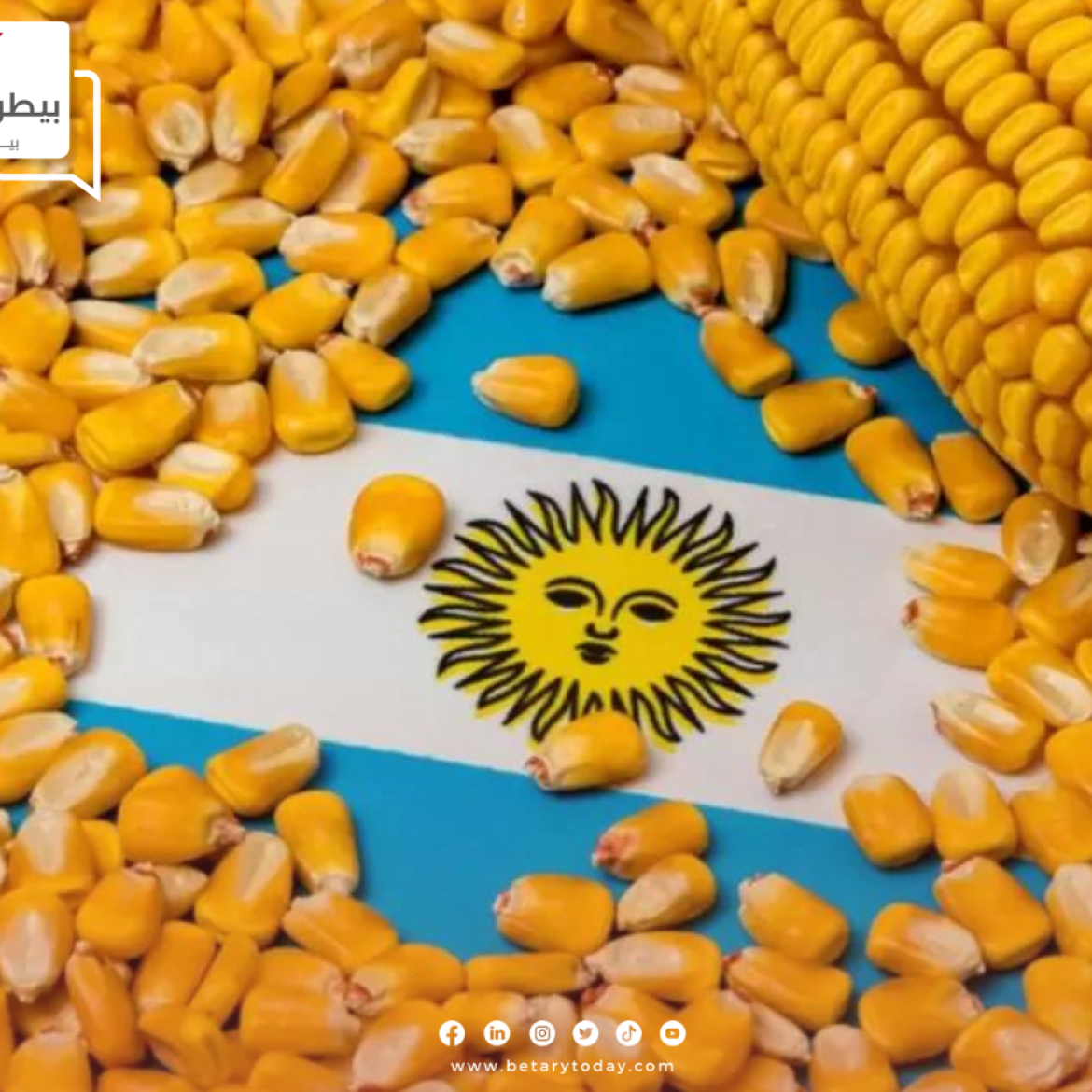 بعد الإحصائيات الأخيرة…توقعات بتراجع محصول الذرة وفول الصويا الأرجنتيني