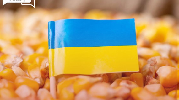 توقعات بتراجع محصول الذرة الأوكراني 35% لهذا السبب