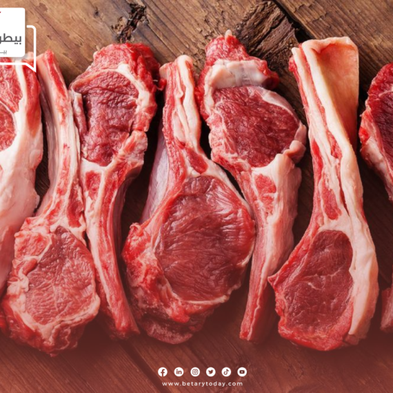 أسعار اللحوم الحمراء البلدي والمستوردة اليوم الخميس 25 يوليو في الأسواق