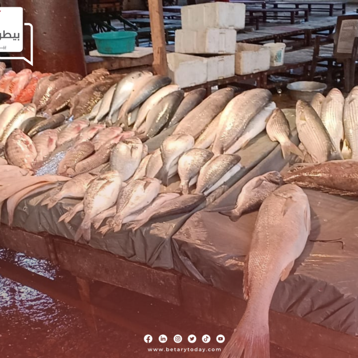 استقرار أسعار الأسماك والمأكولات البحرية اليوم الاثنين 22 يوليو في سوق العبور