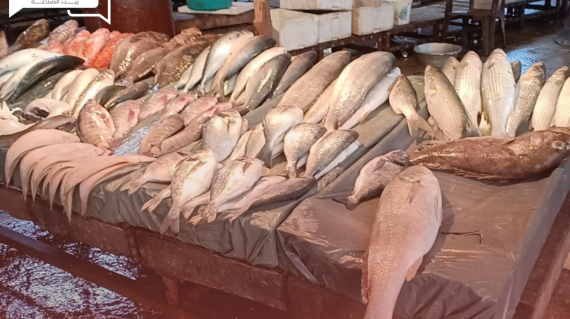 استقرار أسعار الأسماك والمأكولات البحرية اليوم الاثنين 22 يوليو في سوق العبور