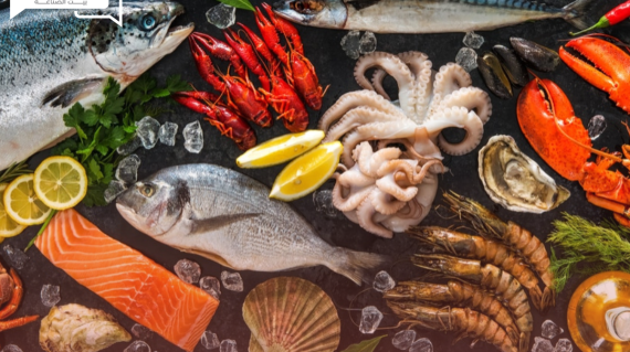 هدوء أسعار الأسماك والمأكولات البحرية اليوم الخميس في الأسواق